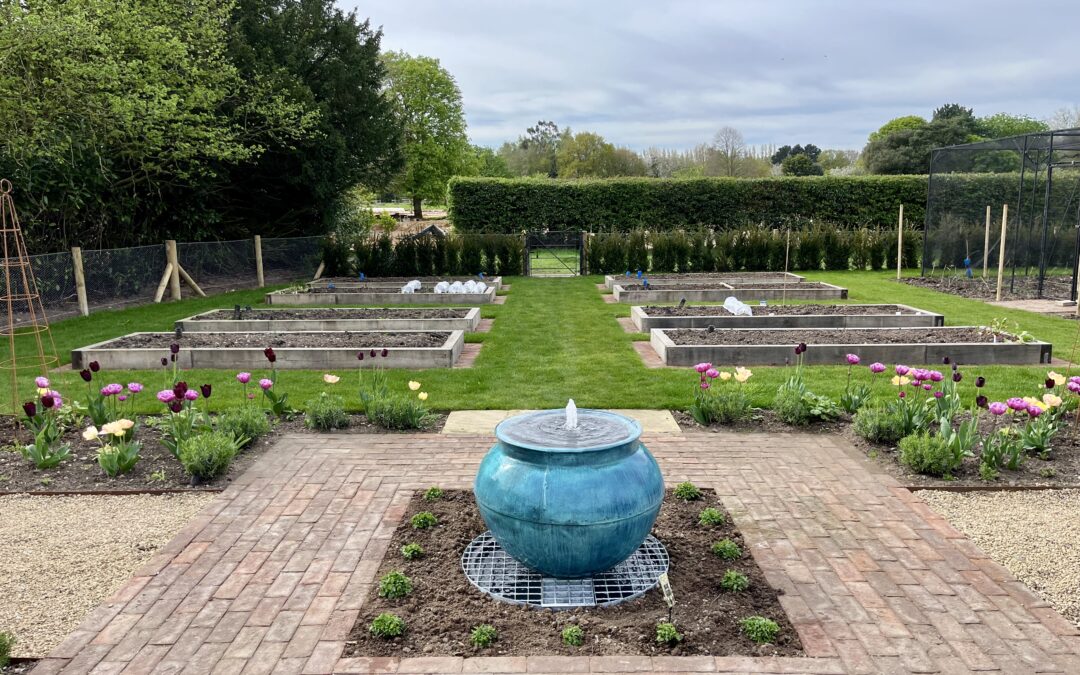 Vegetable Garden – Great Horkesley